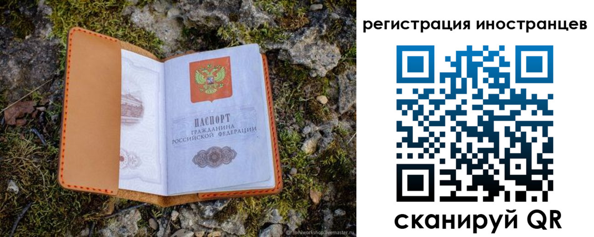 прописка паспорт в Белой Калитве